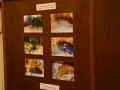 Tn dsc 4461